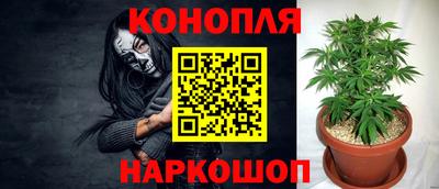 трава Донецк