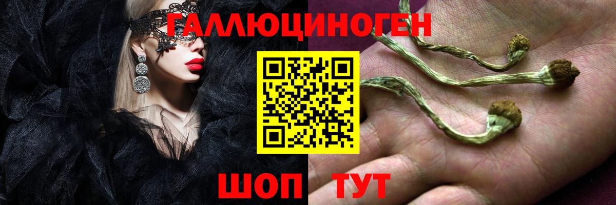 Псилоцибиновые грибы Cubensis Калининград