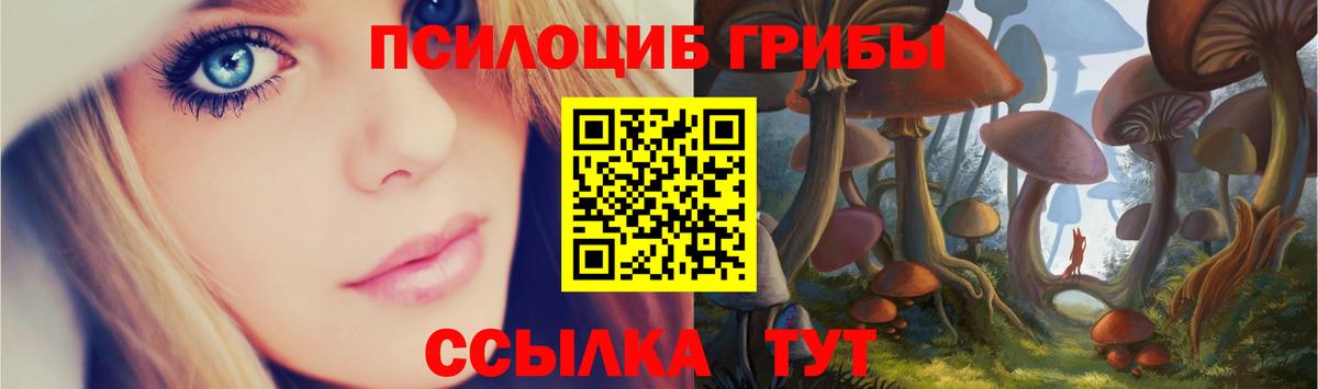 Калининград  Галлюциногенные грибы мицелий  Вход с VPN 